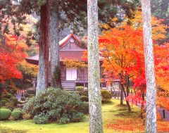 �y�G�[�XJTB�z���s�c�A�[�\��E���s�̗��فE�z�e���\��